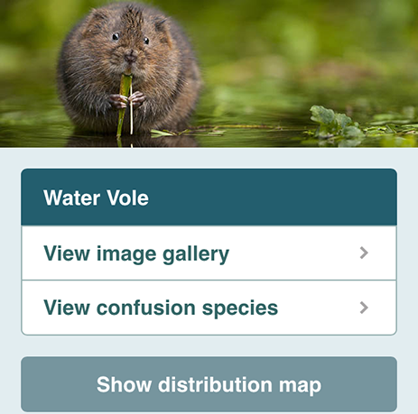 Mammal Tracker species info page