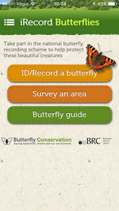 butterfly app homepage