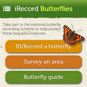 Butterfly home page - cropped