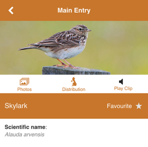 MoorWILD app species info screen
