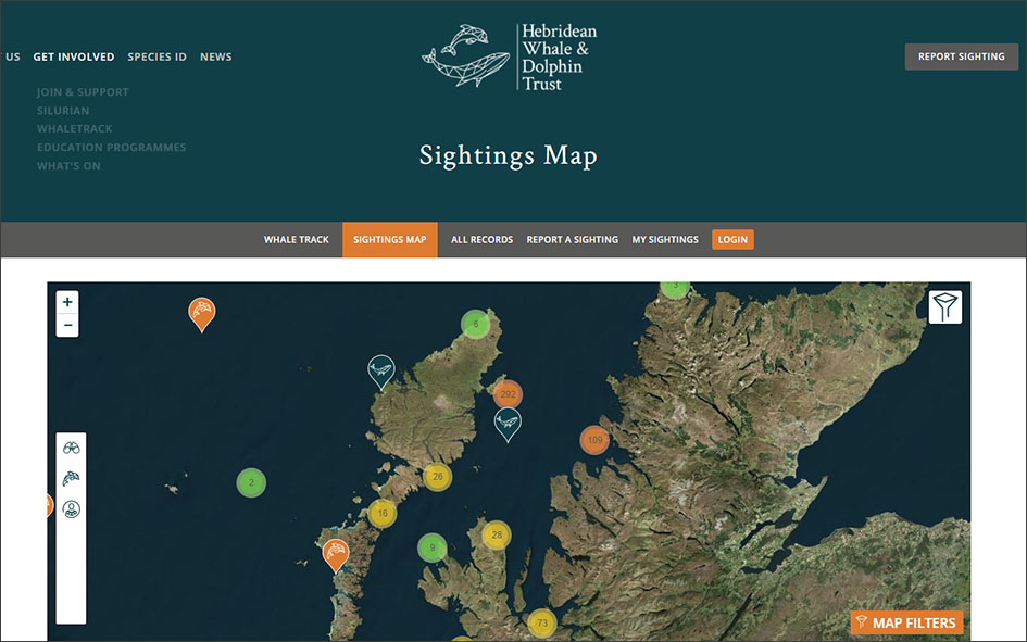 Whale Track website sightings page