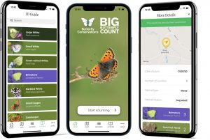 Big butterfly count app